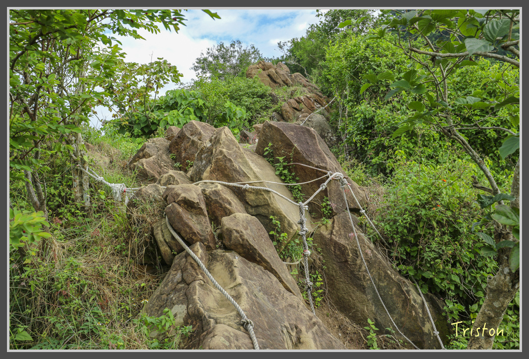 IMG_1952.jpg - 20161130 高雄旗尾山