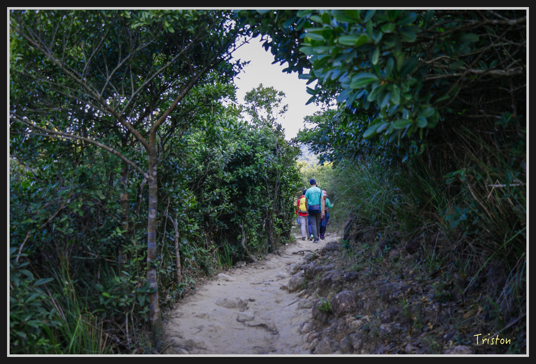 00117.jpg - 20170107 香港健行