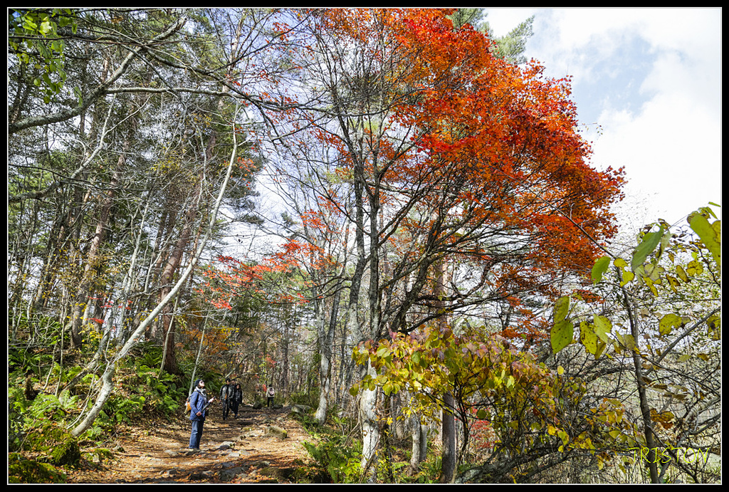 _H1A1295.jpg - 20171103 日本只見線、會津若松五色沼、昭和記念公園賞紅葉