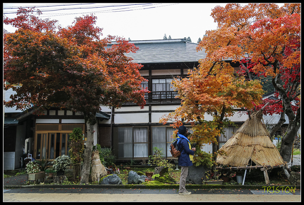 _H1A0697.jpg - 20171103 日本只見線、會津若松五色沼、昭和記念公園賞紅葉
