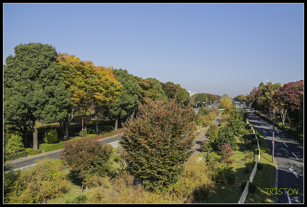 _H1A1539.jpg - 20171103 日本只見線、會津若松五色沼、昭和記念公園賞紅葉