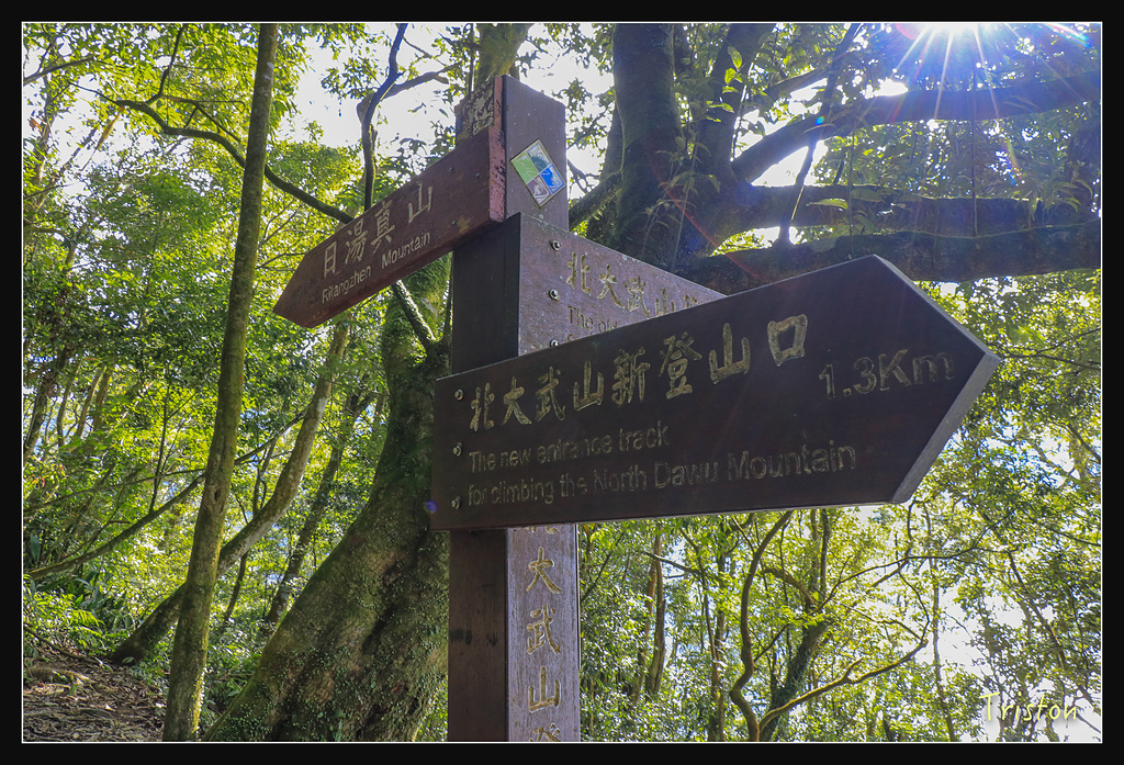 _MG_1031.jpg - 20180127 日湯真山