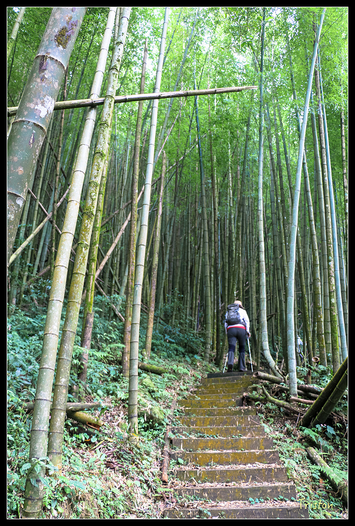 IMG_8341.jpg - 20150926 大凍山切霹靂山 抵龍雲山莊