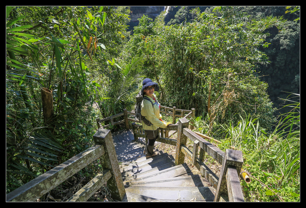 JH1A9847.jpg - 20151005 竹坑溪步道