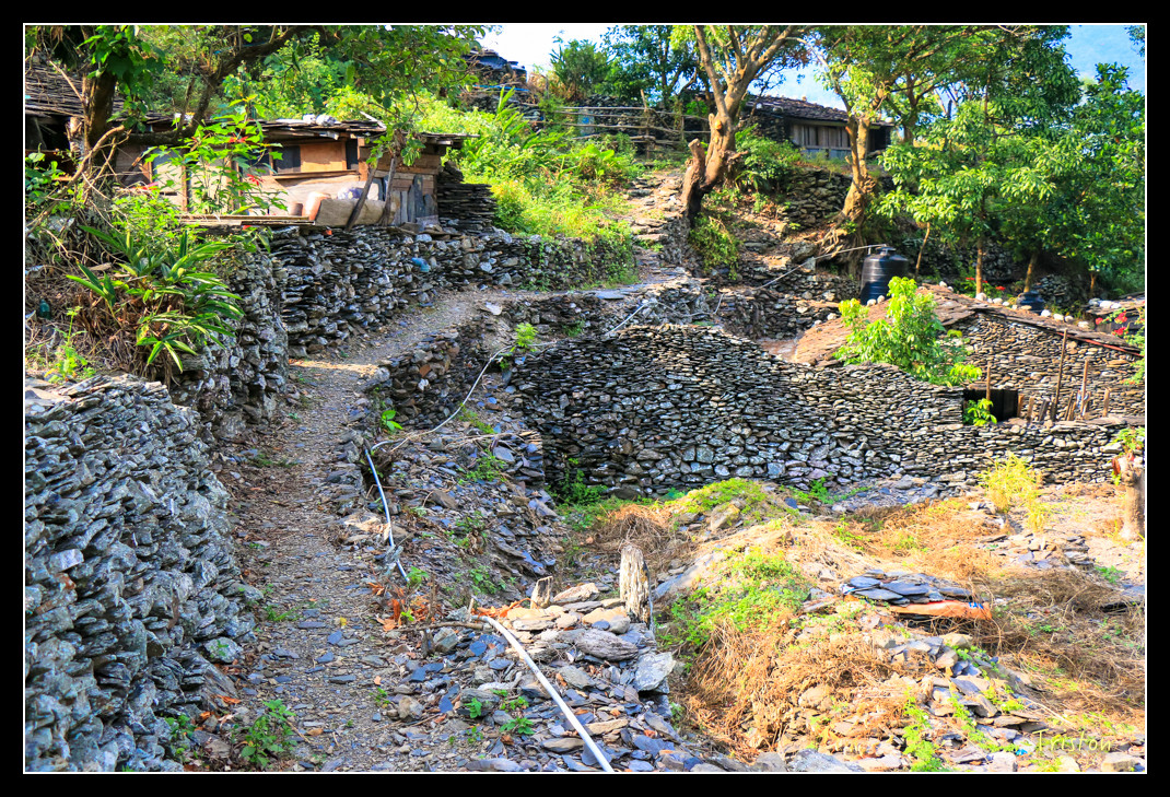 IMG_9604.jpg - 20151202 老七佳部落