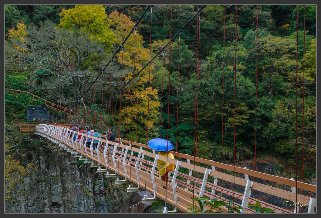 JH1A1344.jpg - 20151221 新竹秀巒賞楓