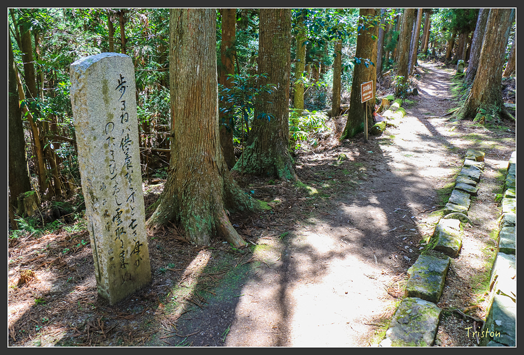 IMG_5122.jpg - 20160323 日本熊野古道健行