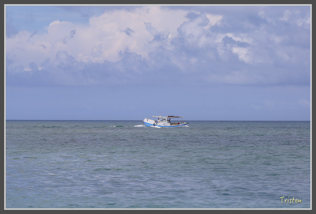 JH1A0803.jpg - 20160701 澎湖