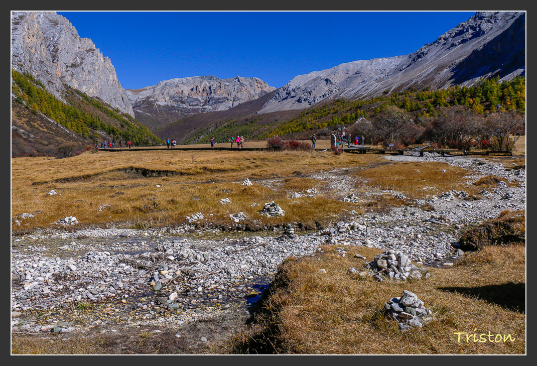 _MG_1694.jpg - 20161013 稻城亞丁