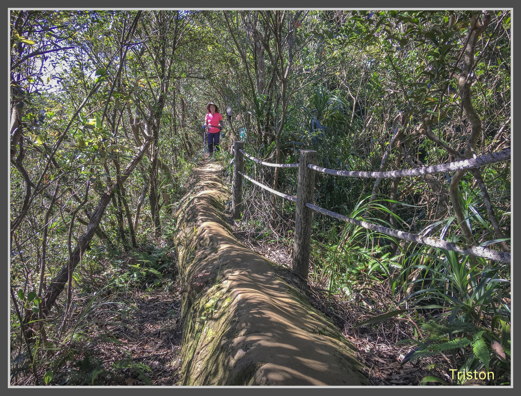 IMG_0889.jpg - 201161113 皇帝殿東西峰