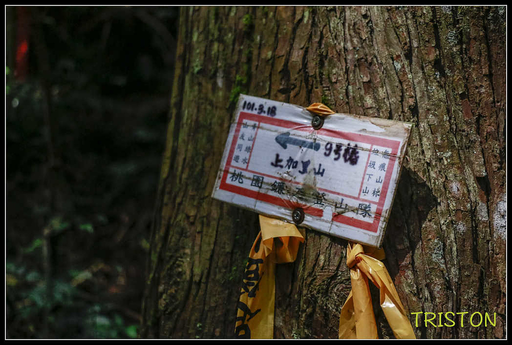 _MG_0049.jpg - 20170920 加里山