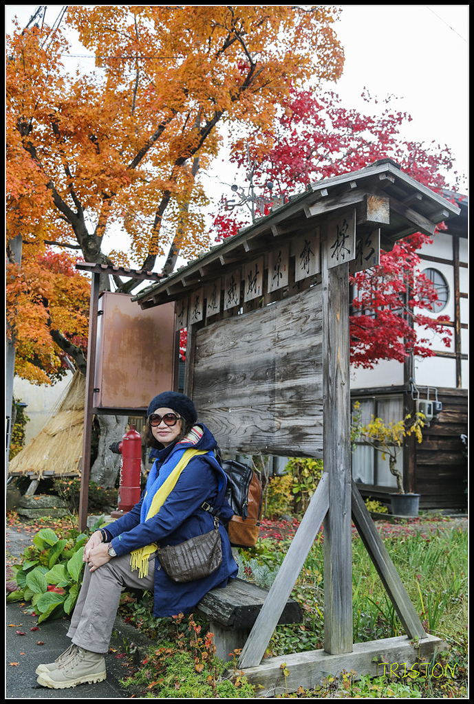 _H1A0707.jpg - 20171103 日本只見線、會津若松五色沼、昭和記念公園賞紅葉