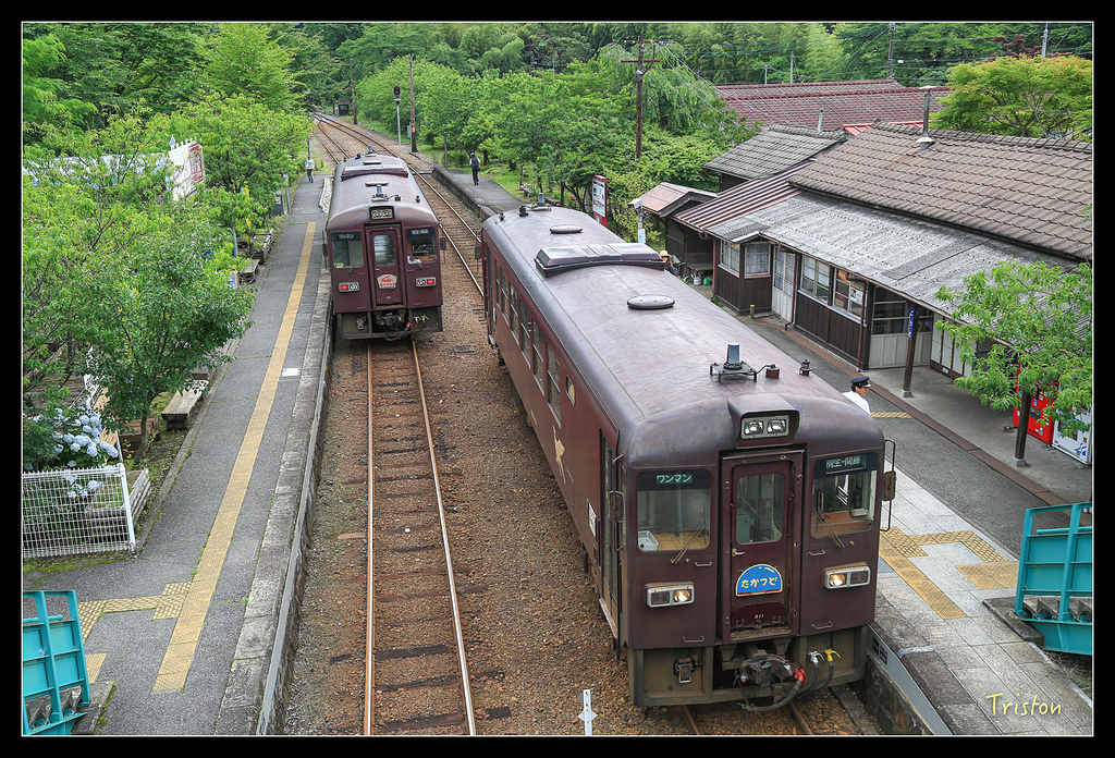 JH1A9821.jpg - 20150628 東京輕井澤日光