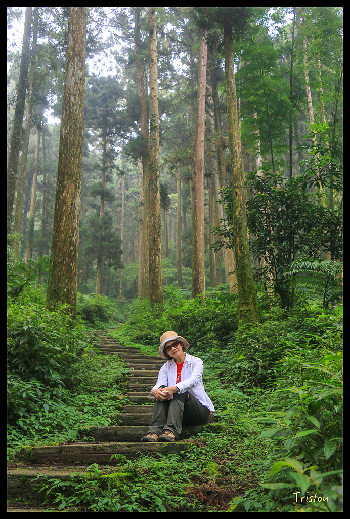 IMG_8379.jpg - 20150926 大凍山切霹靂山 抵龍雲山莊