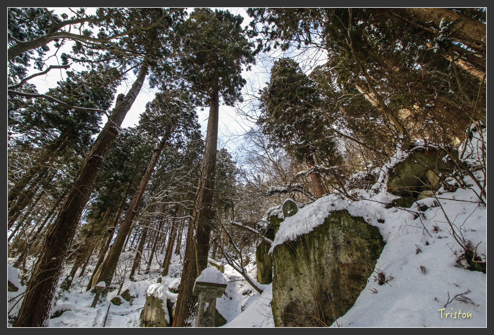 2016ZAO-00690.jpg - 20160131 日本藏王溫泉滑雪親子行