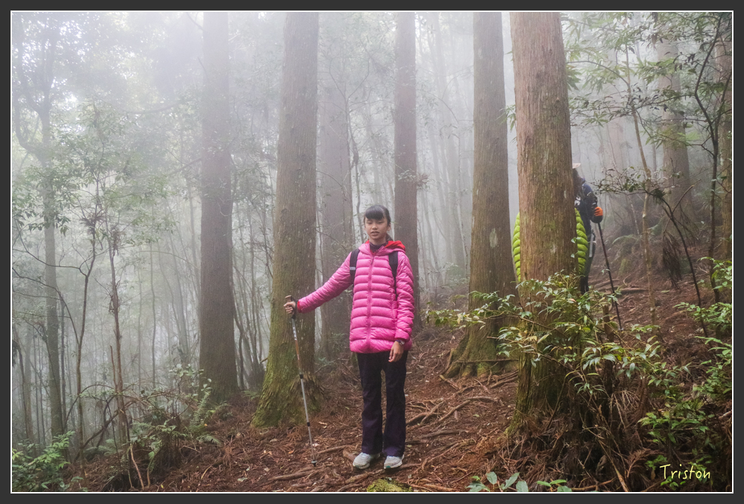 IMG_3440.jpg - 20160227 觀霧森林步道