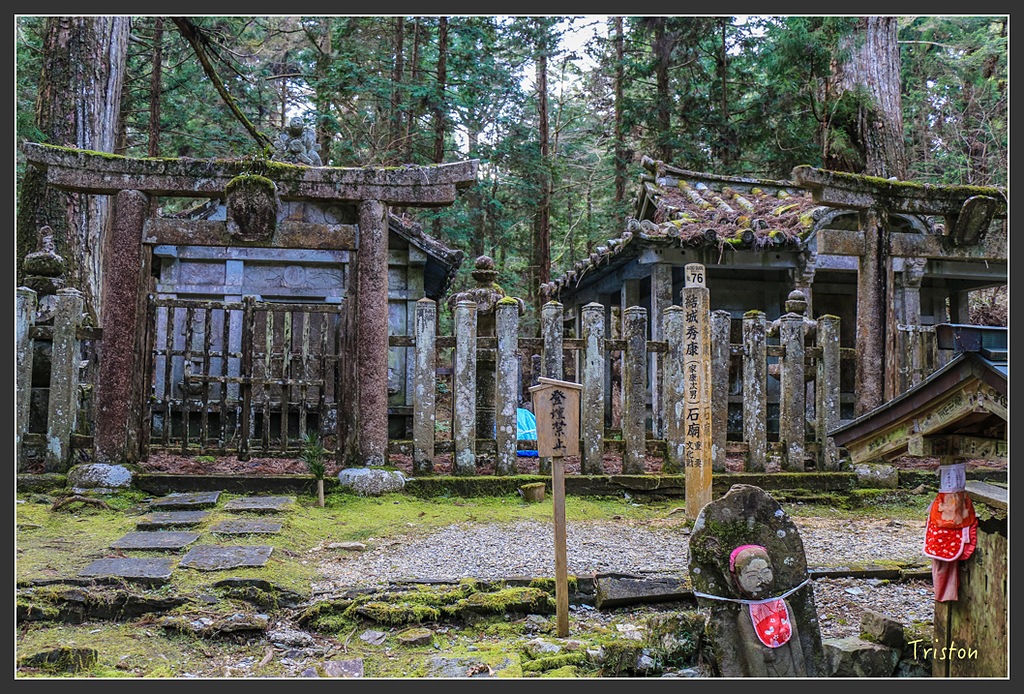 IMG_4609.jpg - 20160323 日本熊野古道健行