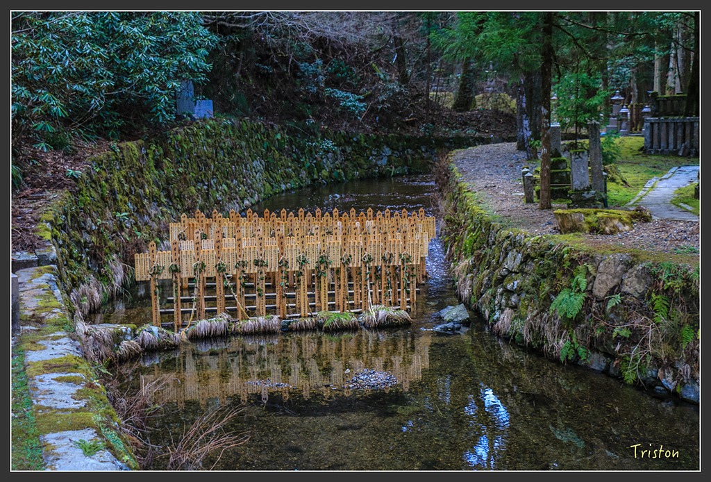 IMG_4603.jpg - 20160323 日本熊野古道健行