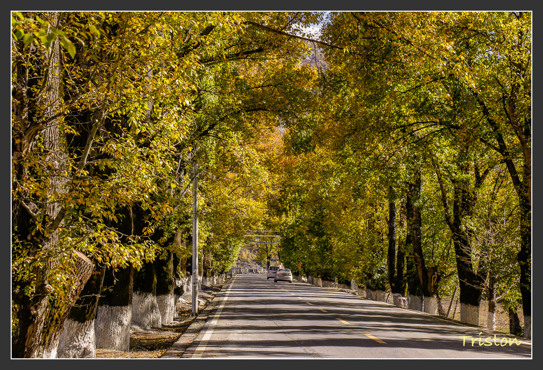 _MG_1292.jpg - 20161013 稻城亞丁