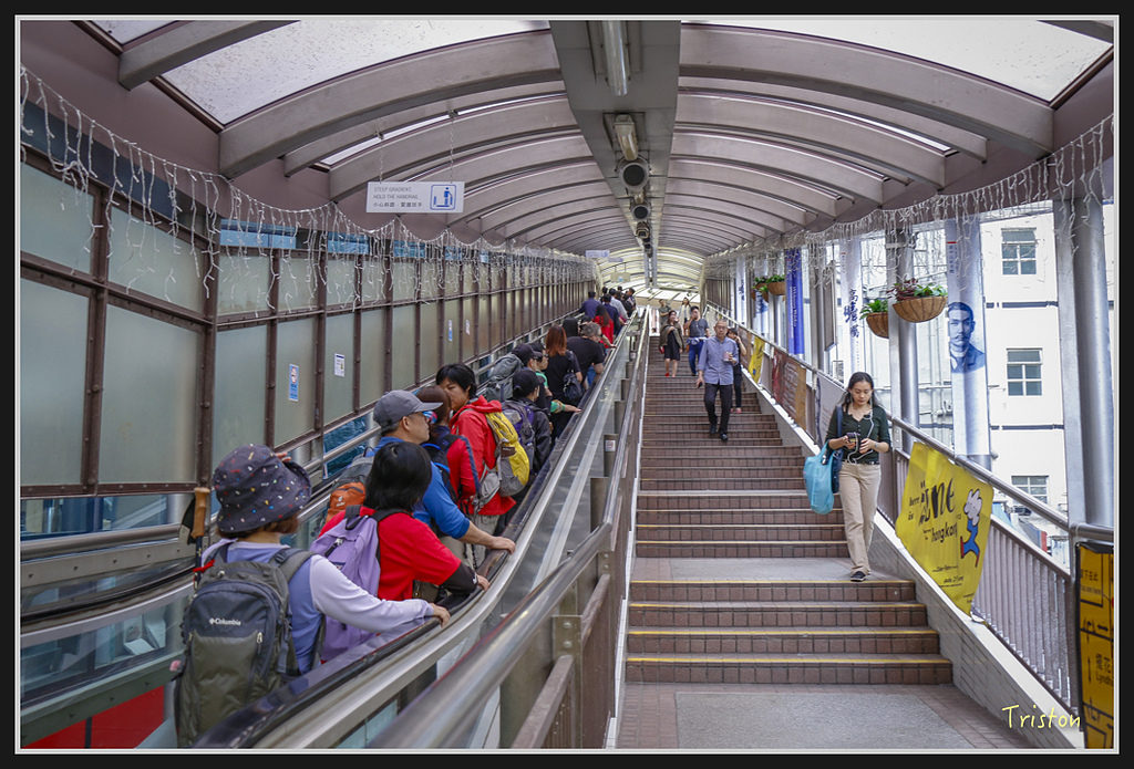 00195.jpg - 20170107 香港健行