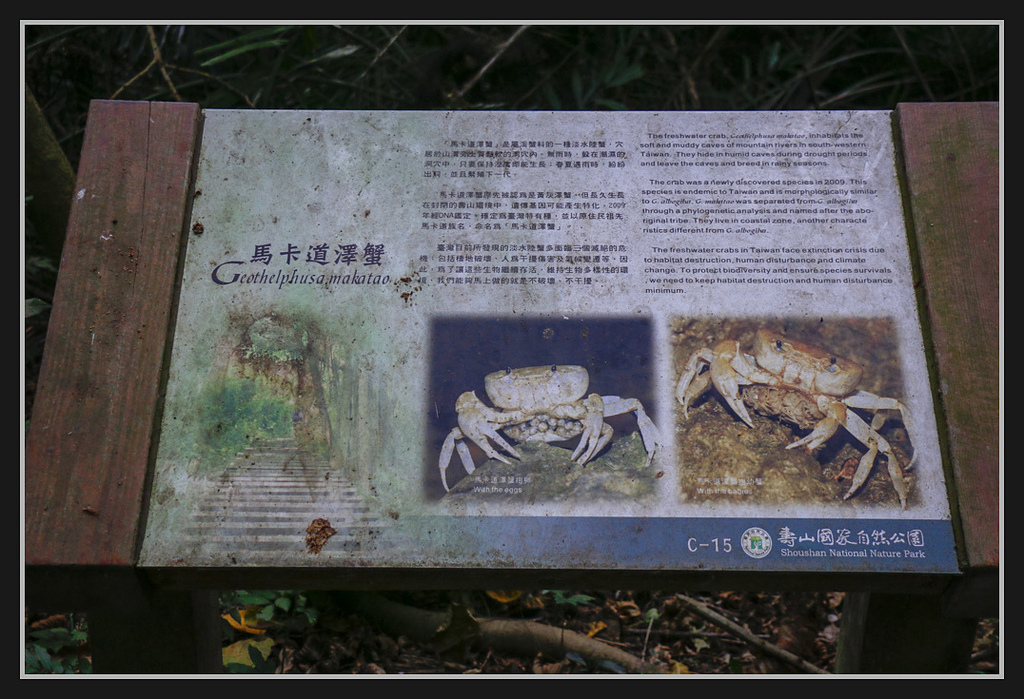 _MG_0074.jpg - 20170205 柴山盤榕雅座路線