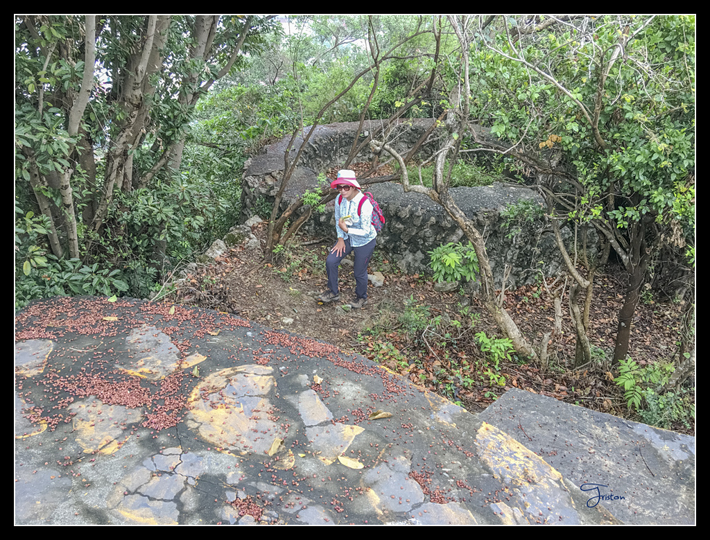 IMG_2740.jpg - 20170422 左營龜山步道、舊城