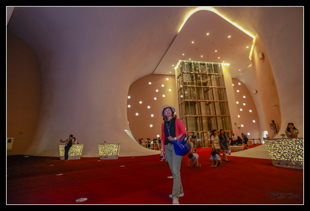 _H1A4288.jpg - 20170520 台中輕旅行-審記新村、忠信市場、國家歌劇院