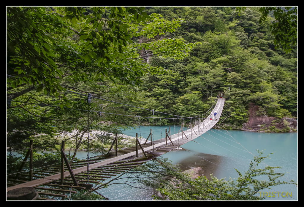 _MG_0722.jpg - 20170702 靜岡東海道之旅