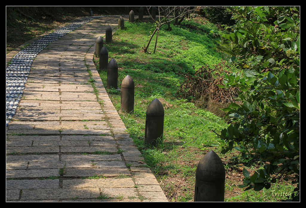 JH1A9356.jpg - 20150814 馬祖之旅