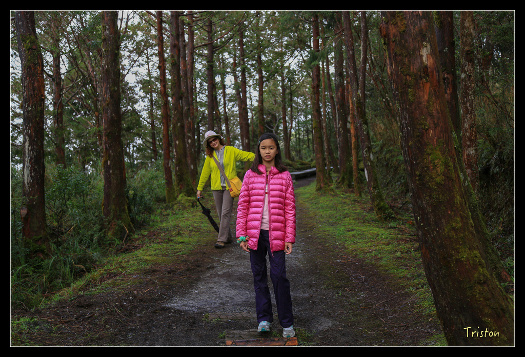JH1A0149.jpg - 20151024~25 幾米公園、翠峰湖、翠峰山屋、望洋山步道、山毛櫸步道