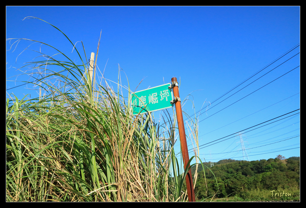 IMG_0469.jpg - 20151107 富士坪古道