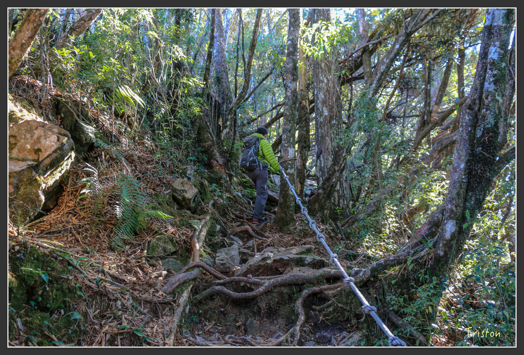 IMG_0583.jpg - 20151219 鳶嘴稍來山、小雪山林道