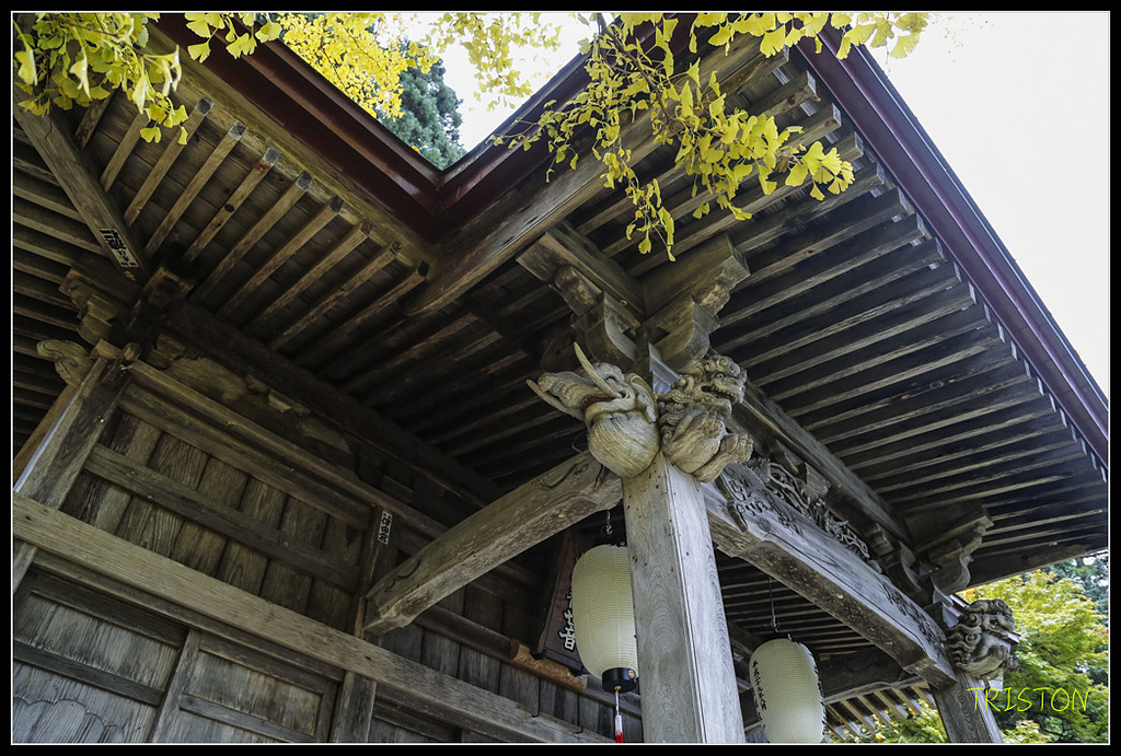 _H1A0727.jpg - 20171103 日本只見線、會津若松五色沼、昭和記念公園賞紅葉