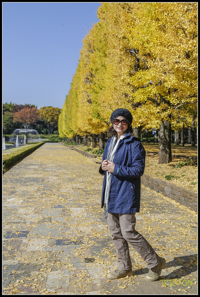 _H1A1591.jpg - 20171103 日本只見線、會津若松五色沼、昭和記念公園賞紅葉