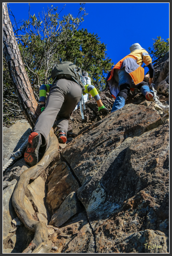 IMG_0467.jpg - 20151219 鳶嘴稍來山、小雪山林道