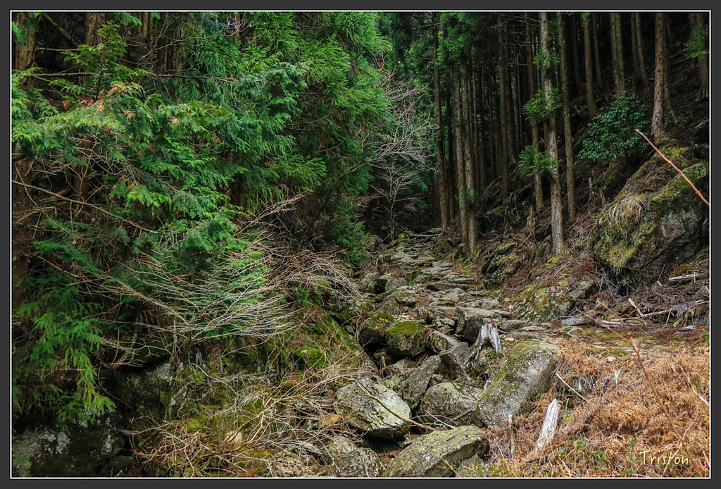 IMG_5468.jpg - 20160323 日本熊野古道健行