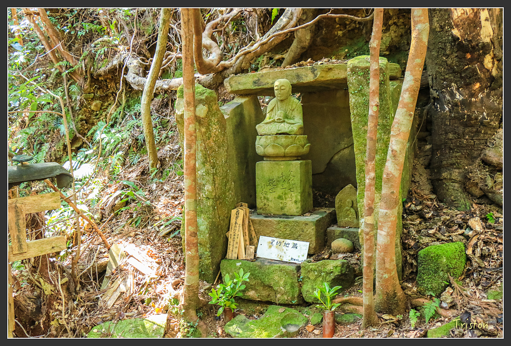 IMG_5184.jpg - 20160323 日本熊野古道健行