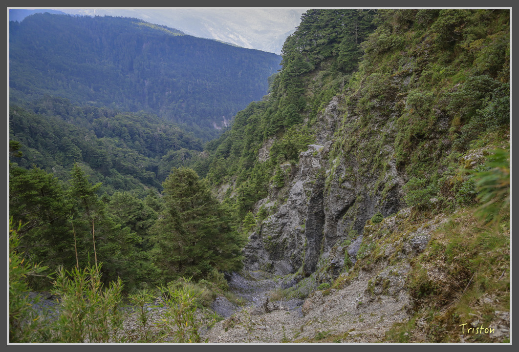 JH1A0190.jpg - 20160806 小奇萊步道、清境國小