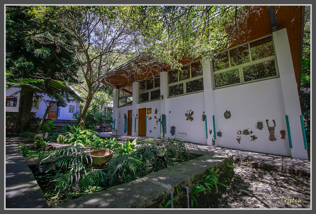 IMG-6.jpg - 20160821 中橫花東之旅