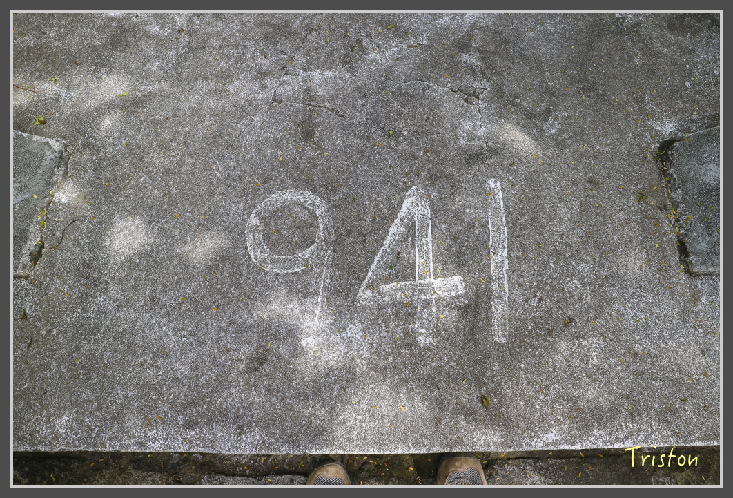 IMG_1982.jpg - 20161130 高雄旗尾山