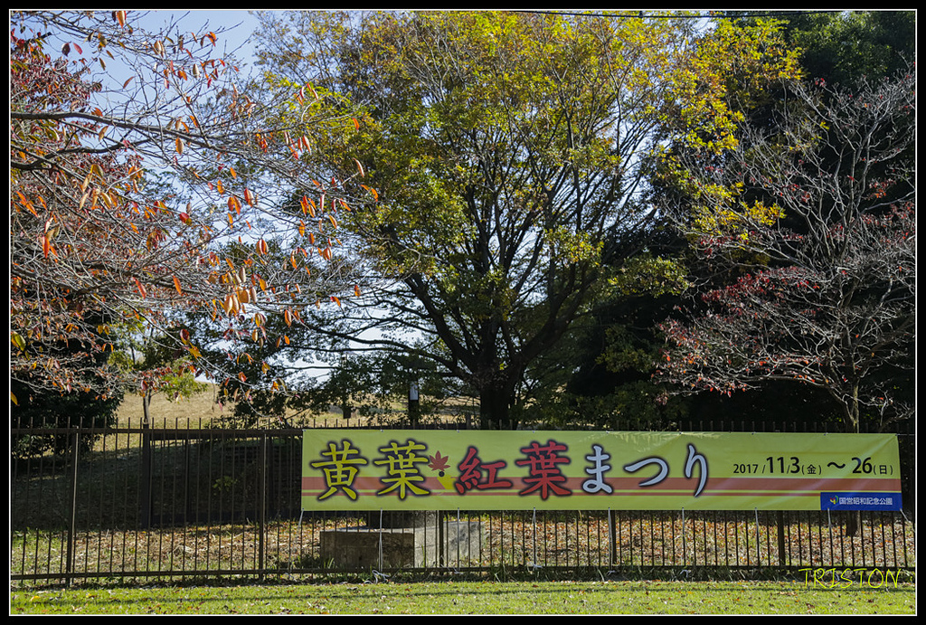_H1A1533.jpg - 20171103 日本只見線、會津若松五色沼、昭和記念公園賞紅葉
