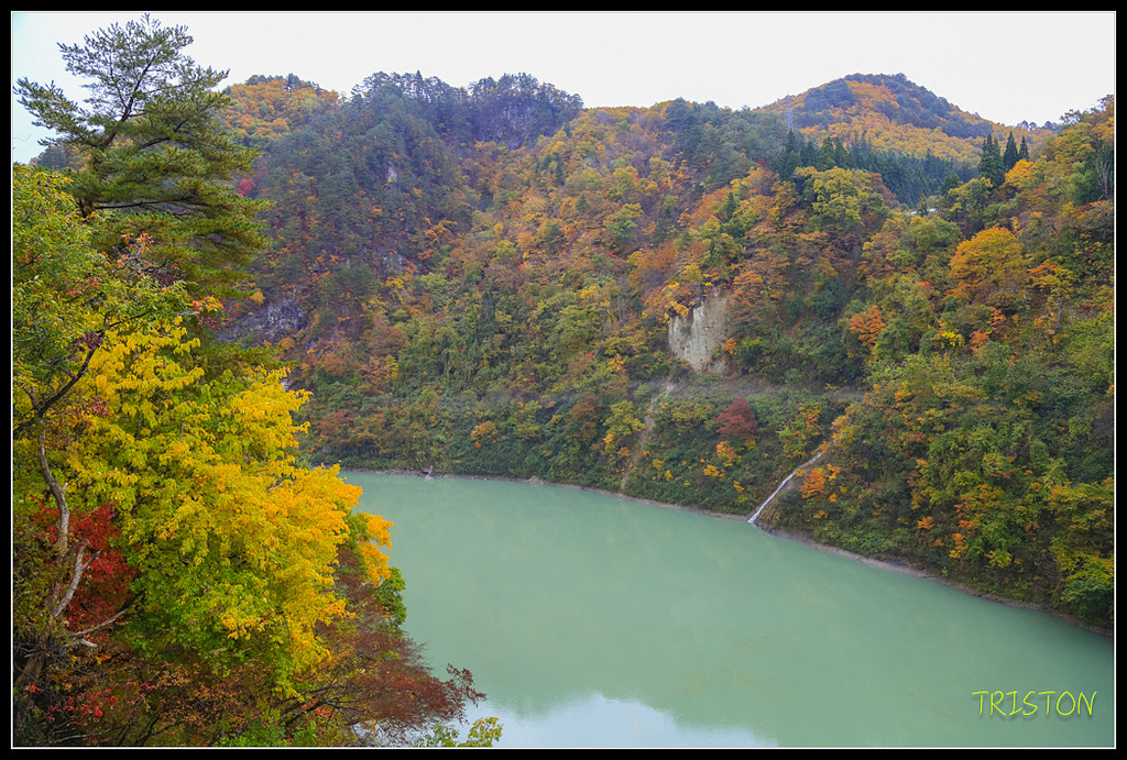 _H1A0382.jpg - 20171103 日本只見線、會津若松五色沼、昭和記念公園賞紅葉