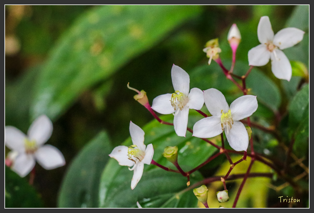 IMG_1409-2.jpg - 20160122 南仁湖、墾丁