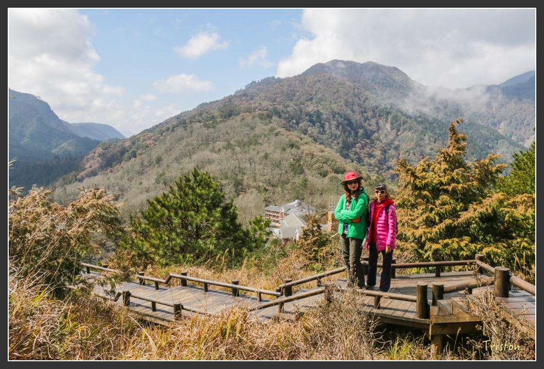 IMG_3383.jpg - 20160227 觀霧森林步道