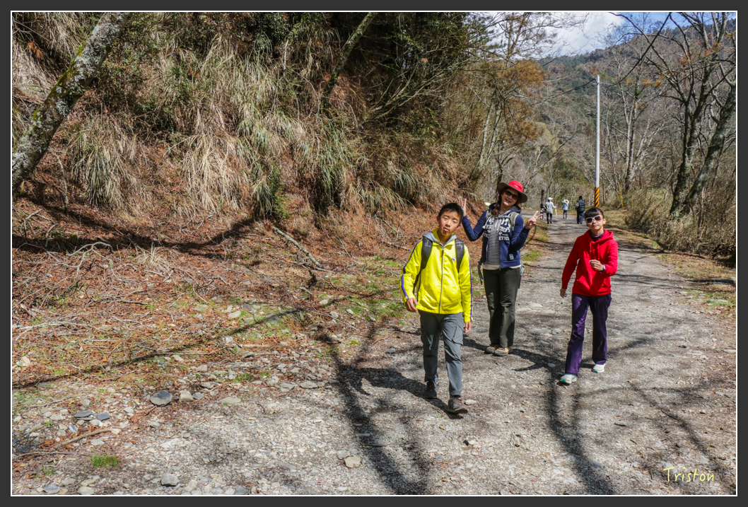 IMG_3399.jpg - 20160227 觀霧森林步道