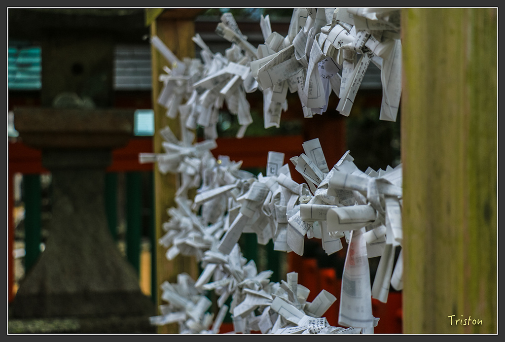 IMG_5666.jpg - 20160323 日本熊野古道健行