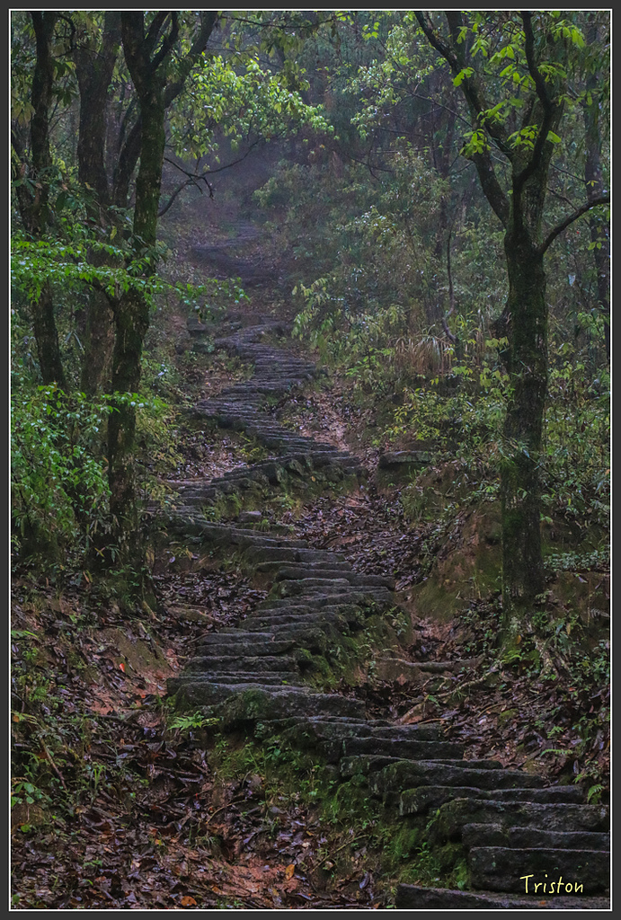 IMG_6436.jpg - 20160409 武夷山之旅