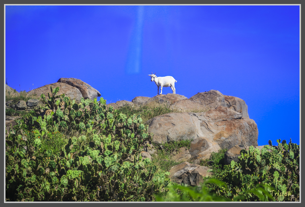 JH1A1315.jpg - 20160701 澎湖