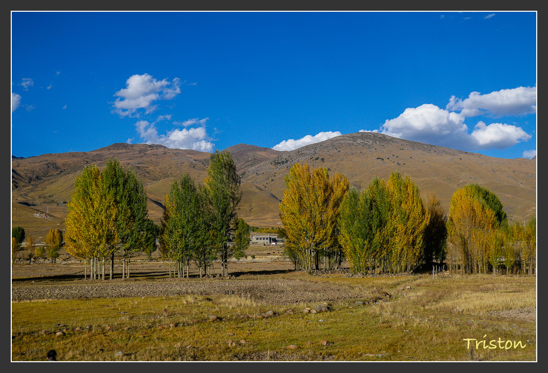 _MG_1584.jpg - 20161013 稻城亞丁