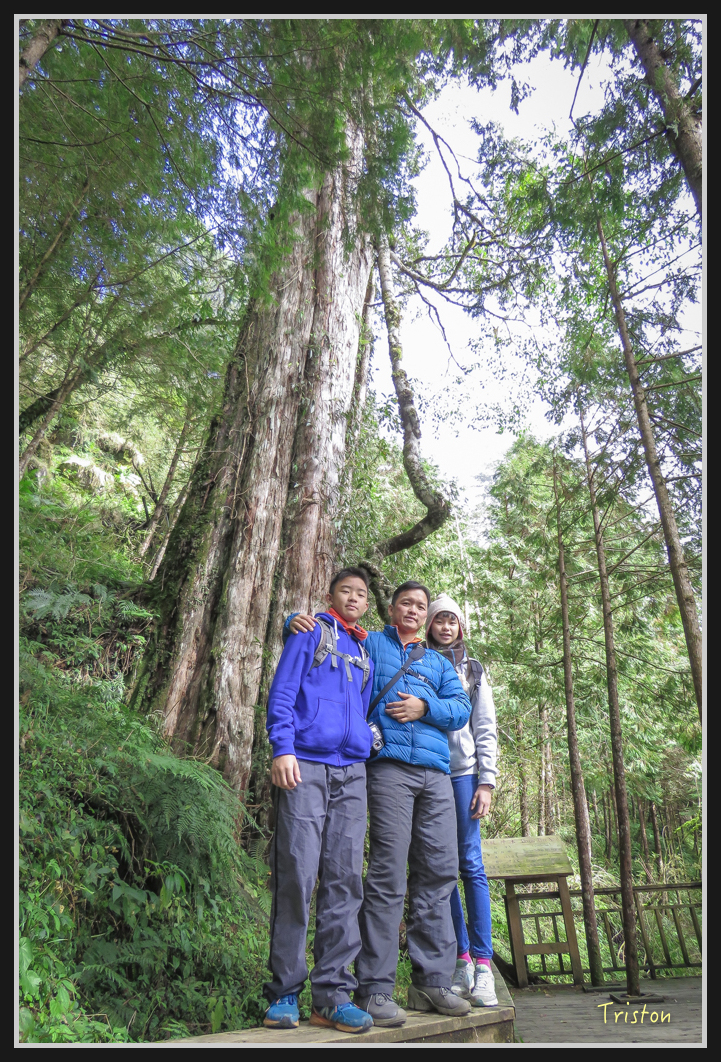 0094.jpg - 20161231 明池 神木園